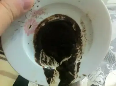 $fotoÃ°raf 5.webp