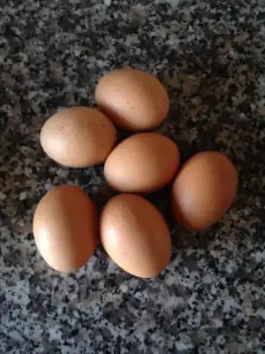 $ImageUploadedByKadÃÂ±nlar KuluÃËbuÃË1406477194.798933.webp