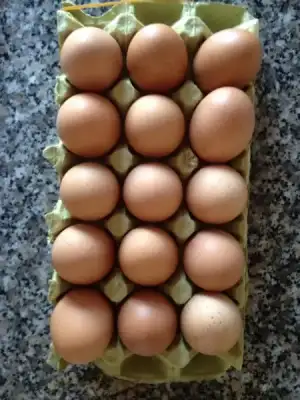 $ImageUploadedByKadÃÂ±nlar KuluÃËbuÃË1406477216.411491.webp