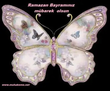 $pembekelebek-1 (1).webp