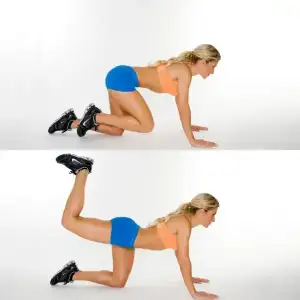 $glute31.webp