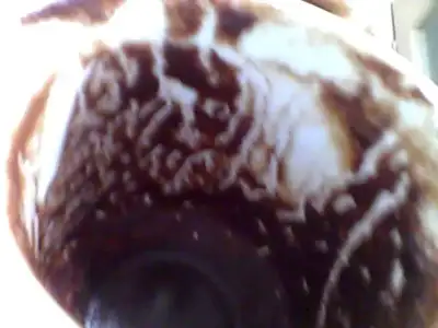 $Snapshot_20140803_7.webp