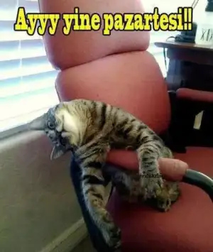 $pazartesi-sendromu_526520.webp