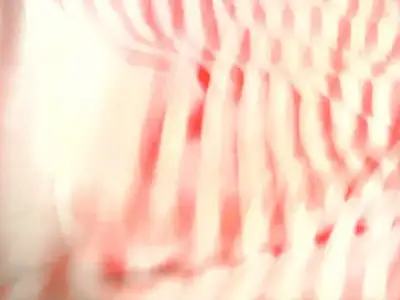 $Fotoðraf1398.webp $Fotoðraf1398.webp
