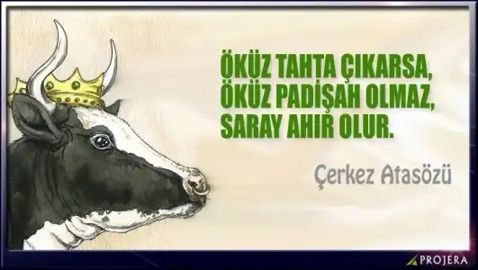 $ImageUploadedByKadÃÂ±nlar KuluÃËbuÃË1407412967.644855.webp