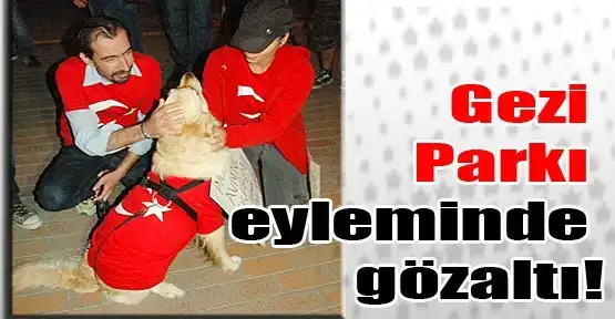 $gezi_parki_eyleminde_gozalti_h3084.webp