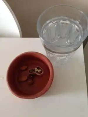 $ImageUploadedByKadÃÂ±nlar KuluÃËbuÃË1407483978.213023.webp