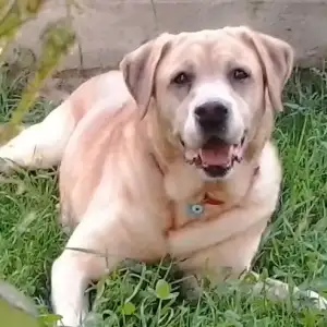 $2013-05-18 19.02.21.webp