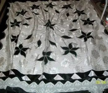 $100_3009.webp