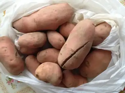 $ImageUploadedByKadÃÂ±nlar KuluÃËbuÃË1407517941.322527.webp