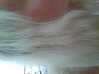 $2014-08-04 13.01.28.webp