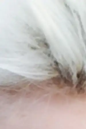 $ImageUploadedByKadÃÂ±nlar KuluÃËbuÃË1407606604.003605.webp