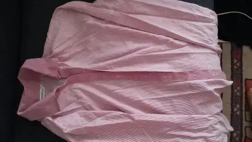 253.webp