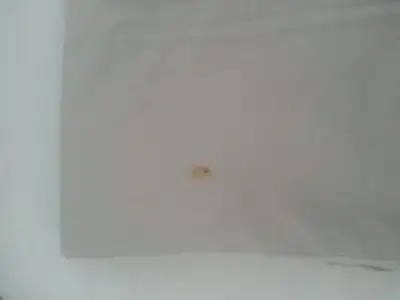 1408269745115.webp