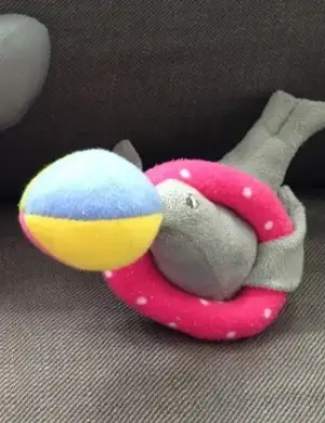 image.webp