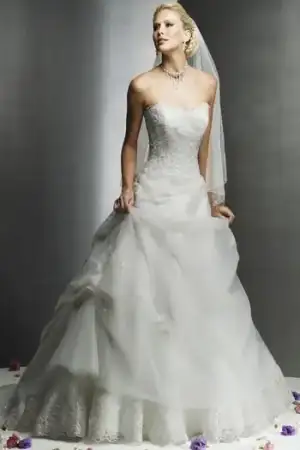 $182-maggiesottero.webp