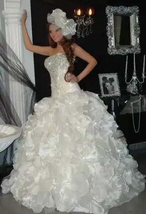 $roses moda evii.webp