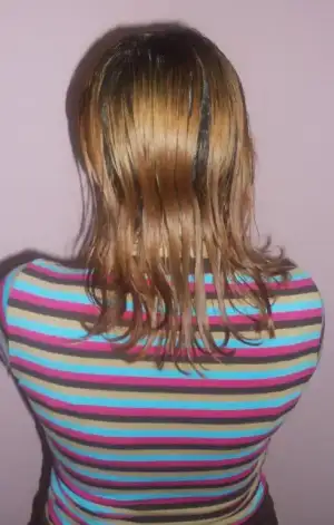 $100_1025.webp
