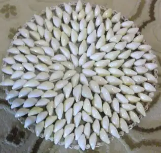 $DSCF2928.webp $DSCF2928.webp