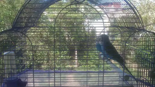 gh 004.webp