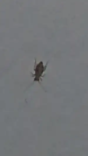 Screenshot_2014-09-02-00-07-26.webp
