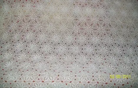 $100_3071.webp