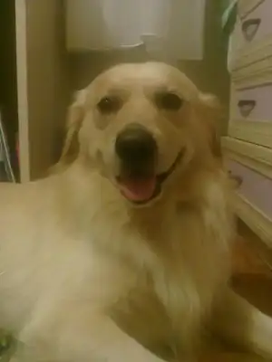 $31072010018.webp