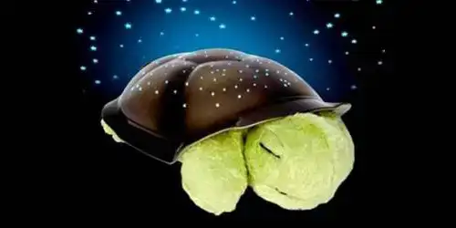 KAPLUMBAĞA BADY 222222.webp