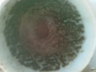 07092014(001).webp