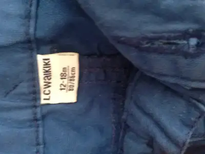 image.webp