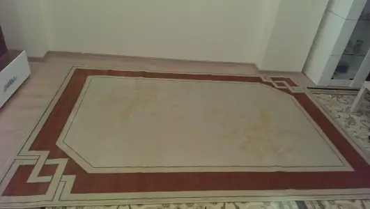 IMAG1929.webp