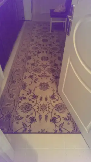 IMAG1928.webp
