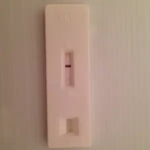 image.webp