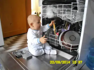 SAM_0255.webp