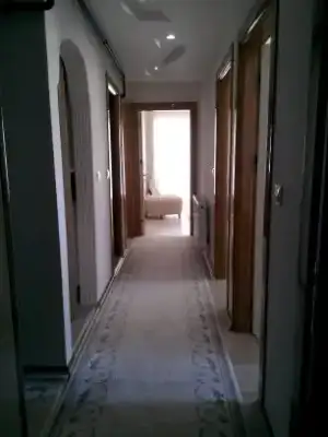 1411330456227.webp