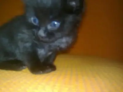 $02102010004.webp