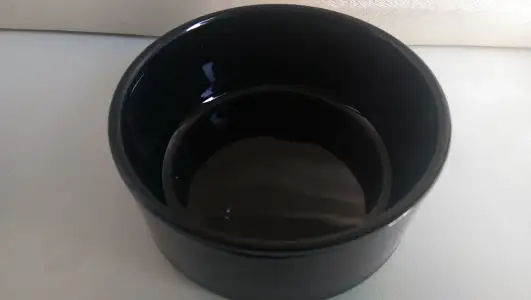 IMAG0769.webp