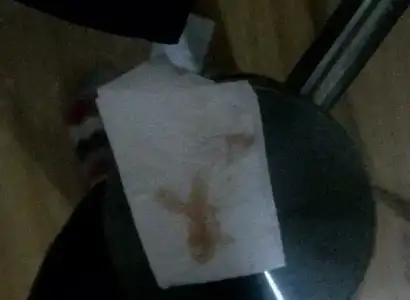 received_537599139717453.jpeg.webp