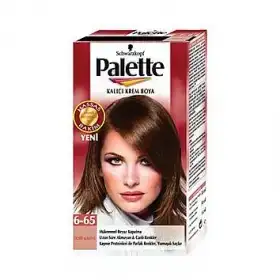 $palette_6_65.webp