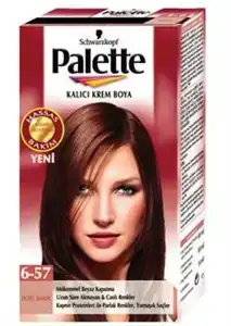 $palette_6_57.webp