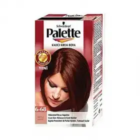 $palette_6_68.webp