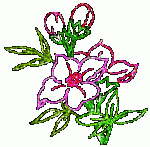 $hareketli_guller-7.gif