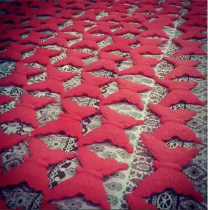 siparişkelebek.webp