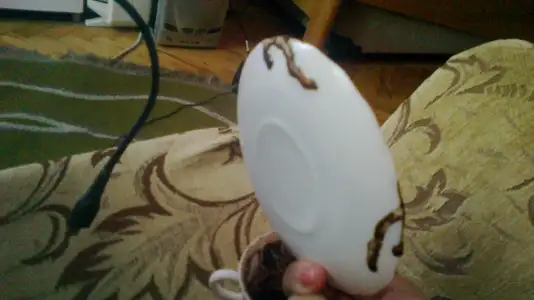 2014-10-11-1556.webp