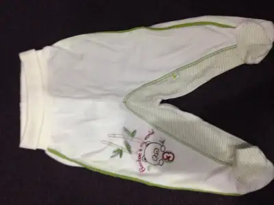 image.webp