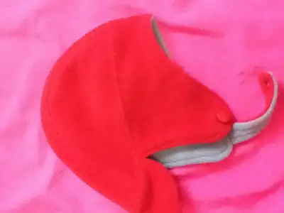 image.webp