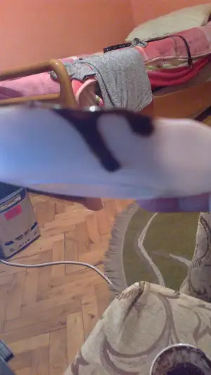 2014-10-15-1649.webp