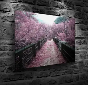 bridge blossom.webp