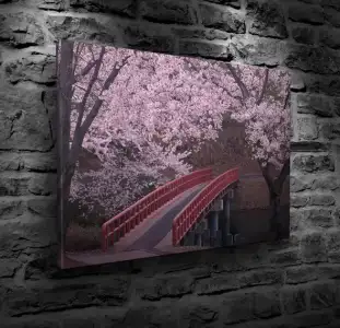 kırmızı köprü.webp