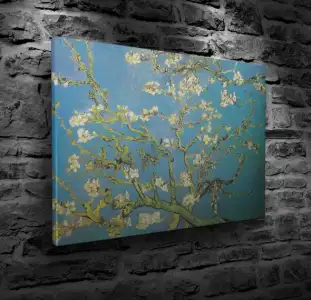 van gogh1.webp